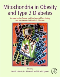 Mitochondria in Obesity and Type 2 Diabetes